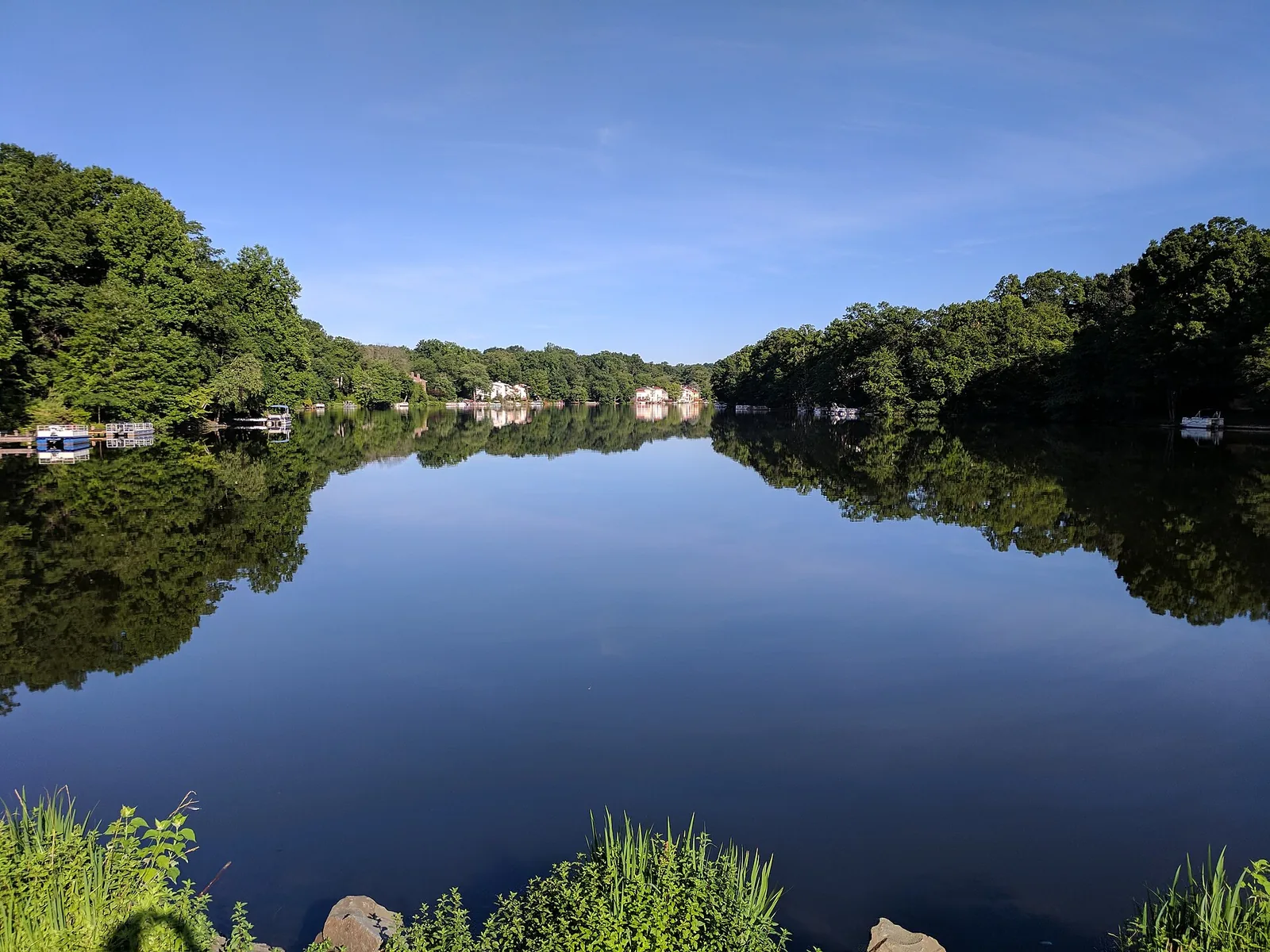 Wooded shores reflected in a still Lake Anne in Reston on a summer morning